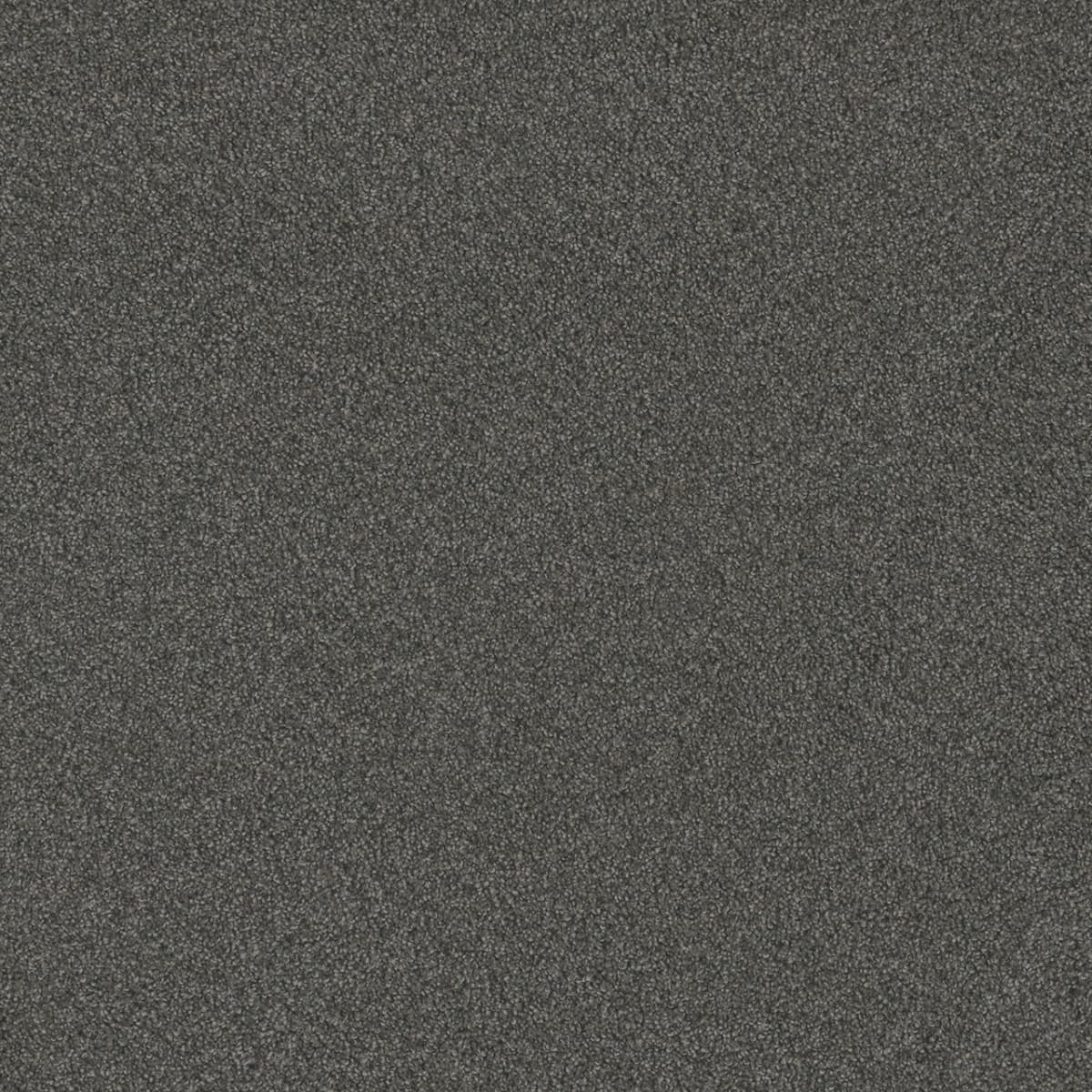 DreamWeaver® Blazer I Textured Cut Pile Carpet