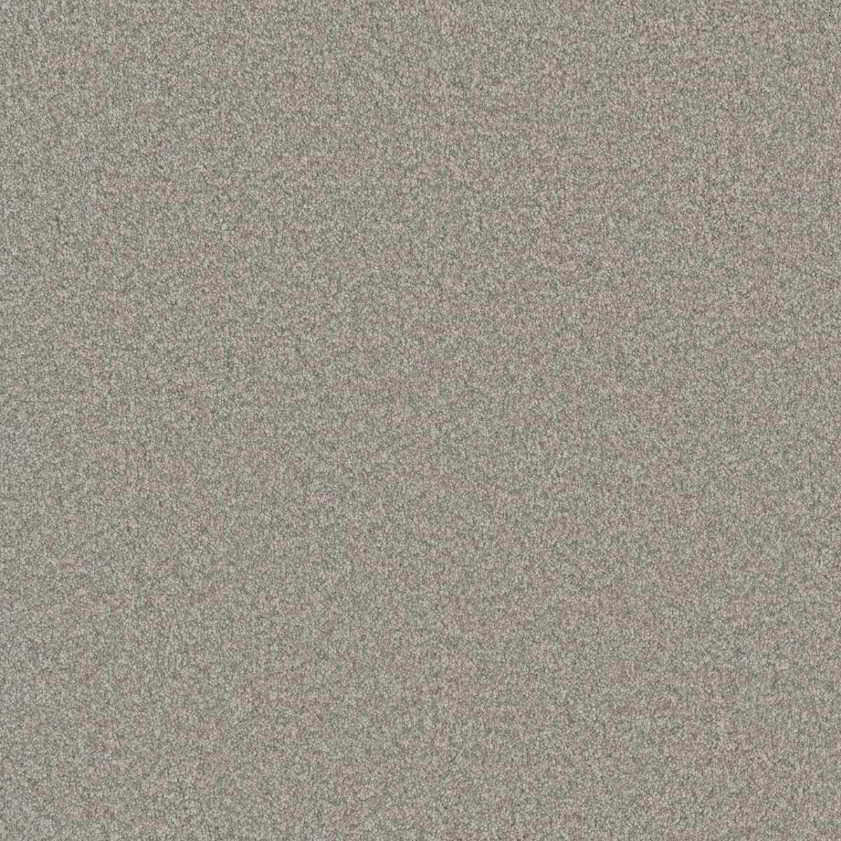 DreamWeaver® Blazer I Textured Cut Pile Carpet