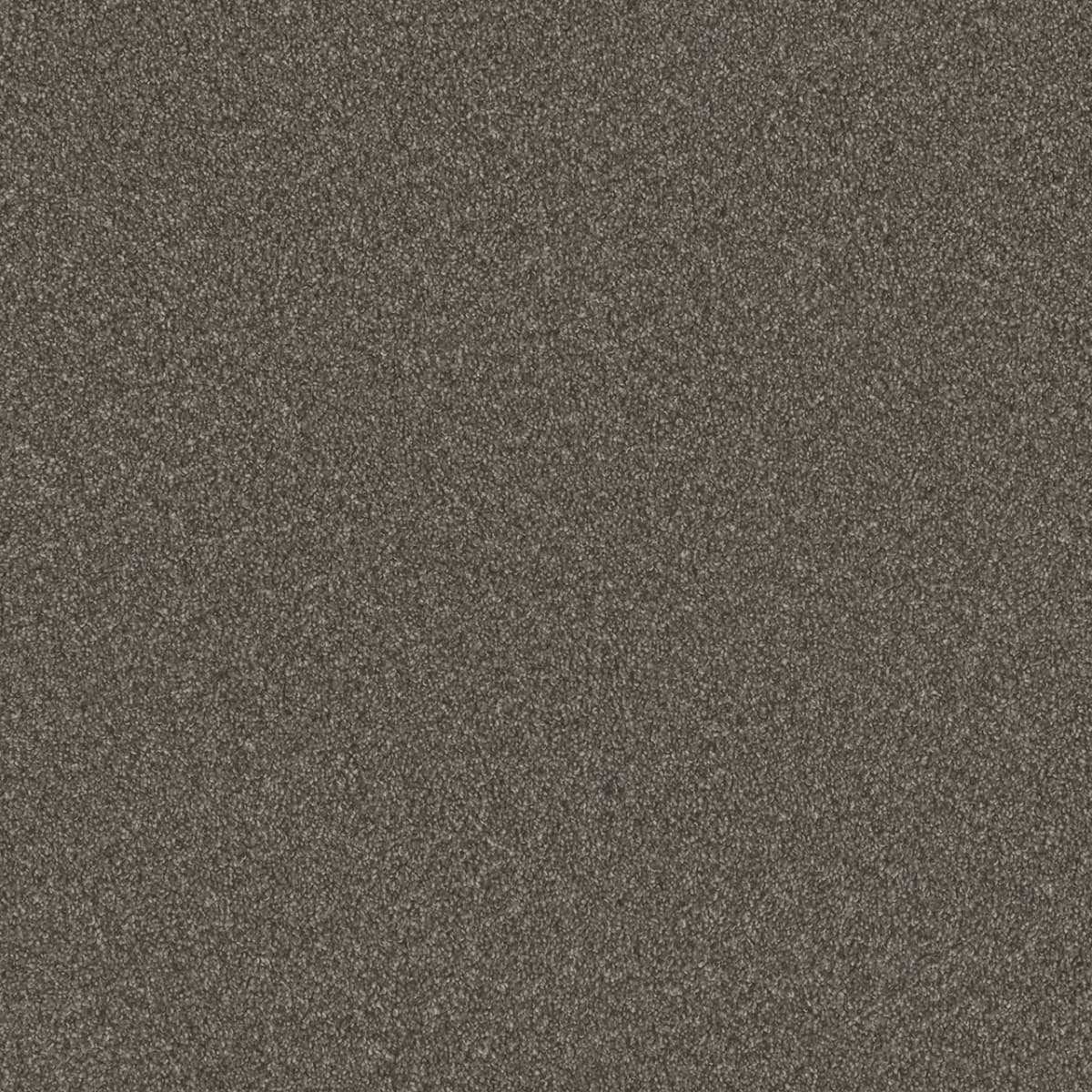 DreamWeaver® Blazer I Textured Cut Pile Carpet