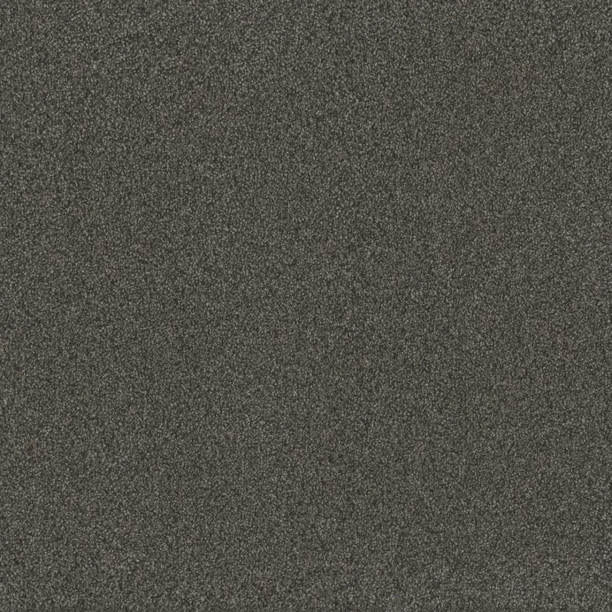 DreamWeaver® Blazer I Textured Cut Pile Carpet