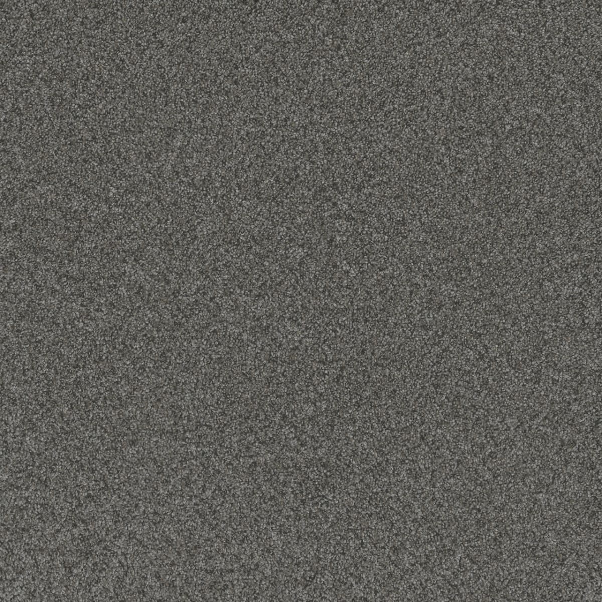 DreamWeaver® Blazer I Textured Cut Pile Carpet