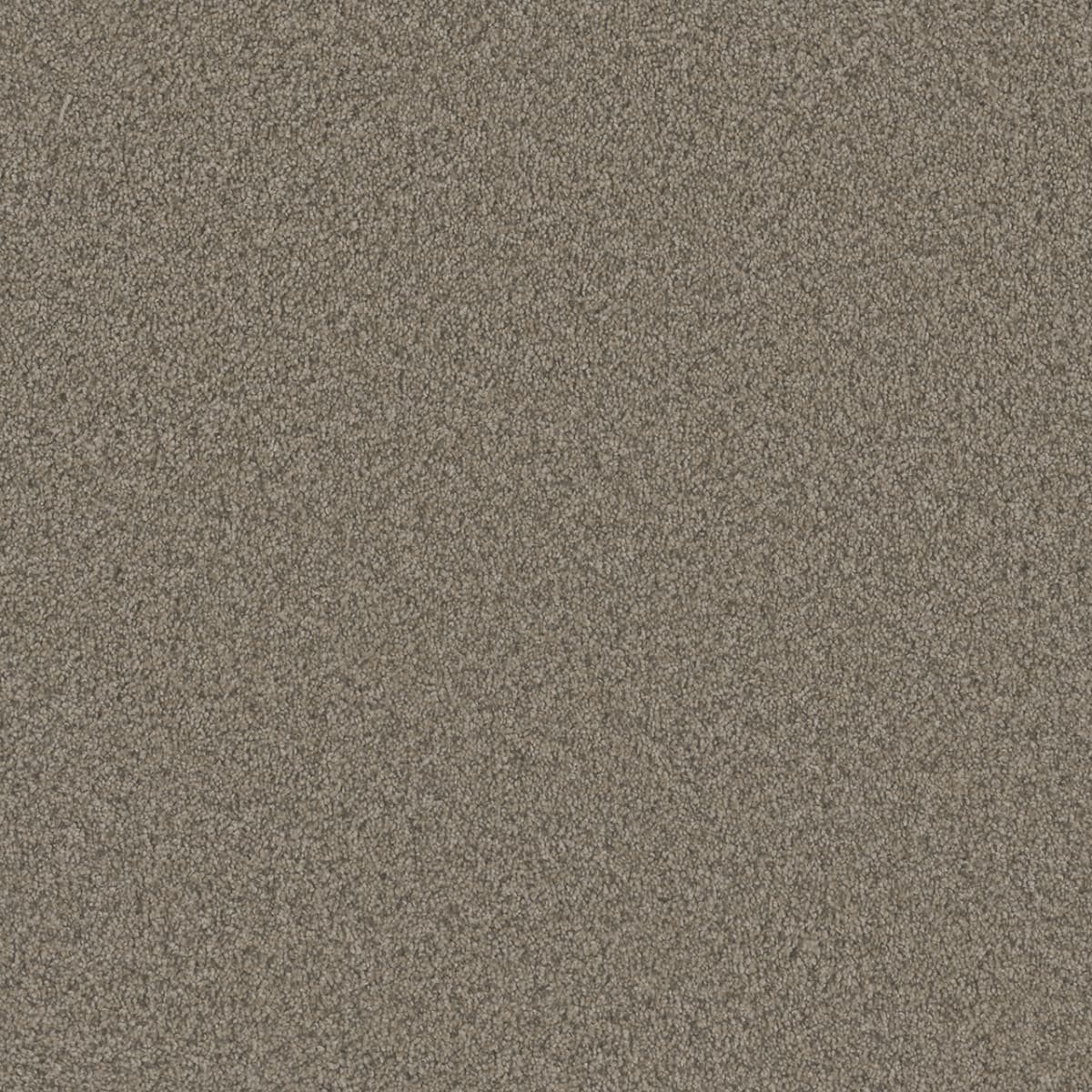 DreamWeaver® Blazer I Textured Cut Pile Carpet