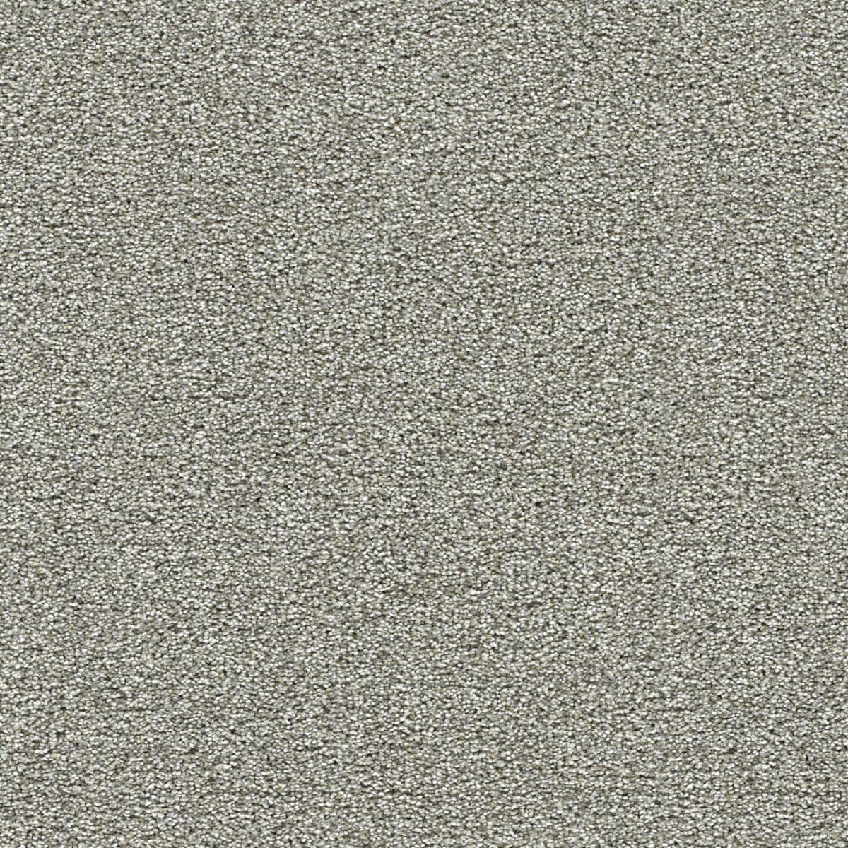 DreamWeaver® Breakview III Texture Carpet