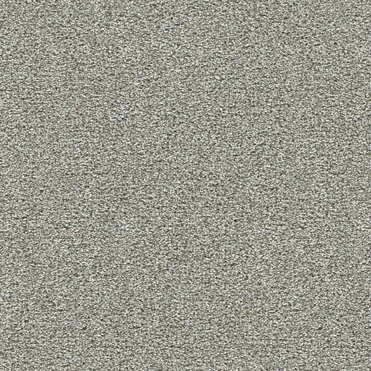 DreamWeaver® Breakview III Texture Carpet