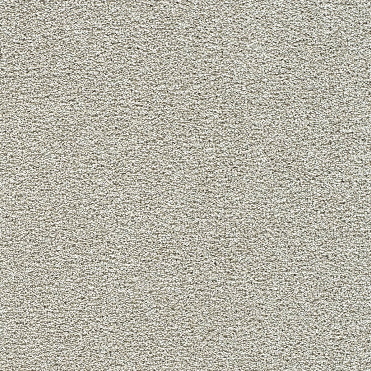DreamWeaver® Breakview III Texture Carpet