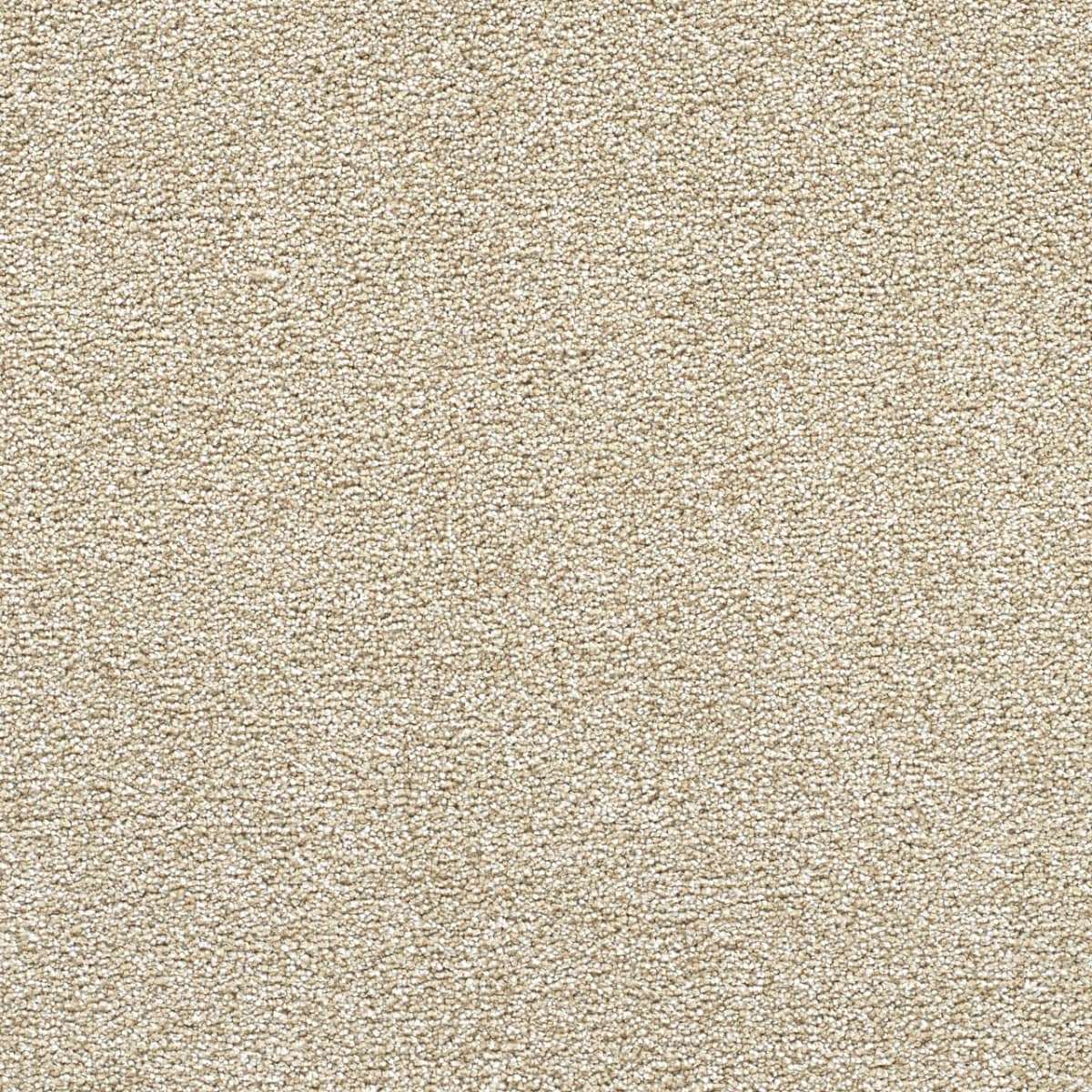 DreamWeaver® Breakview III Texture Carpet