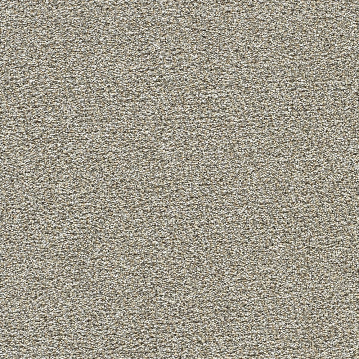 DreamWeaver® Breakview III Texture Carpet
