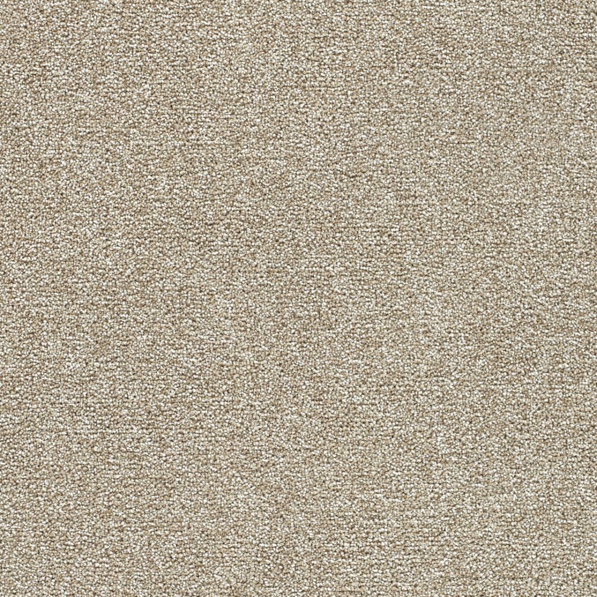 DreamWeaver® Breakview III Texture Carpet