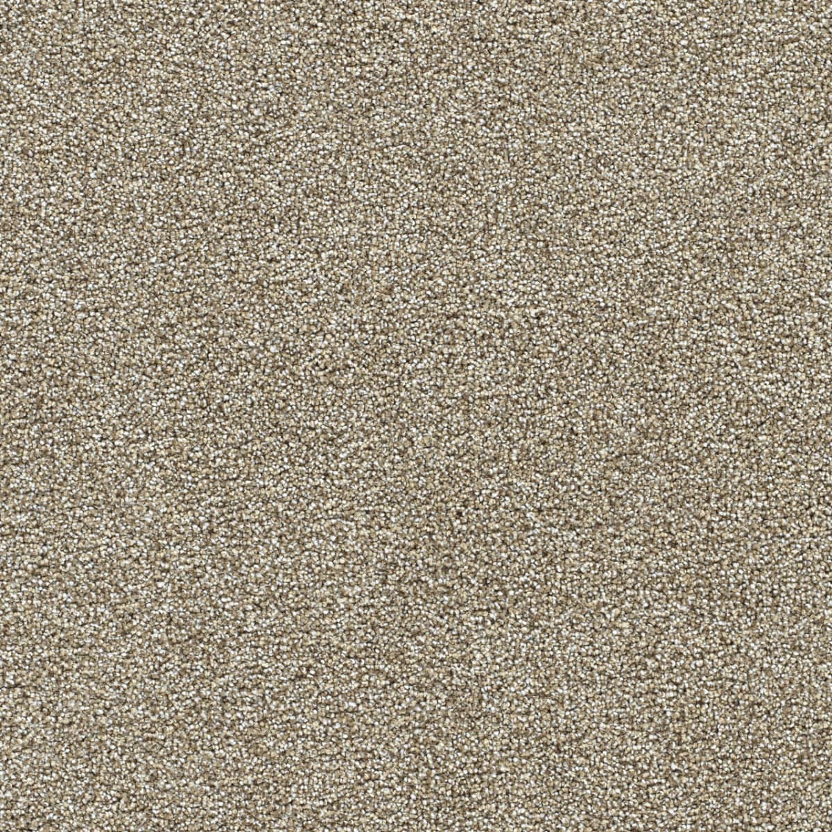 DreamWeaver® Breakview III Texture Carpet