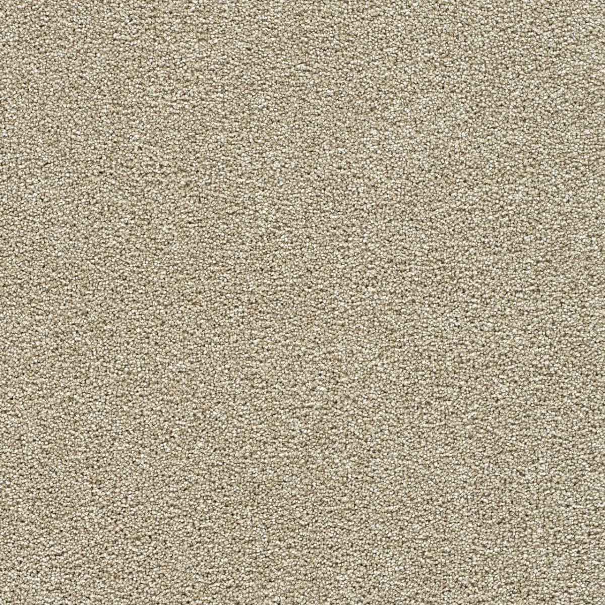 DreamWeaver® Breakview III Texture Carpet
