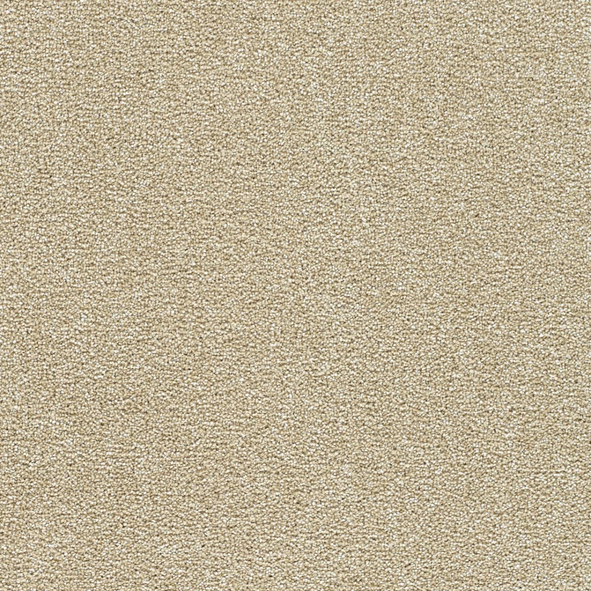 DreamWeaver® Breakview III Texture Carpet