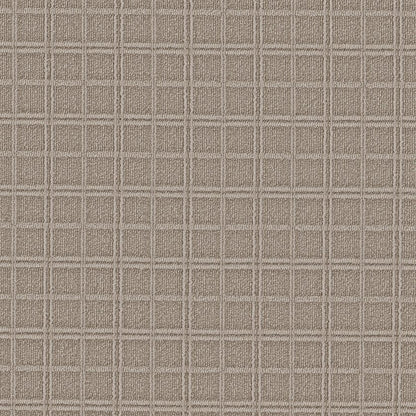 Breeze Block, Fossil Carpet Remnant