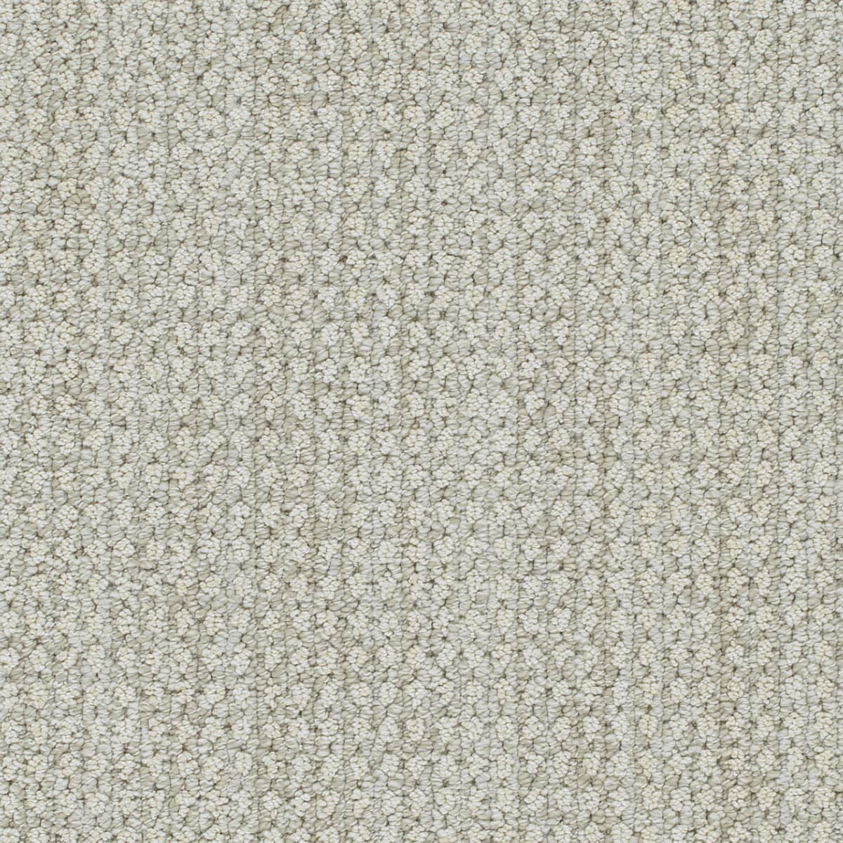 DreamWeaver® Select Brunswick Patterned Carpet