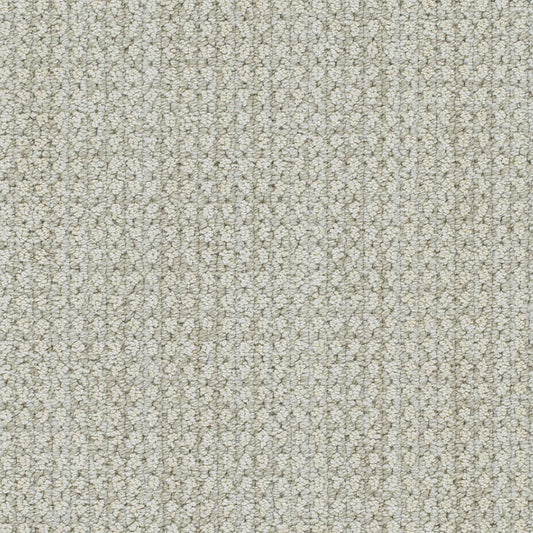 DreamWeaver® Select Brunswick Patterned Carpet