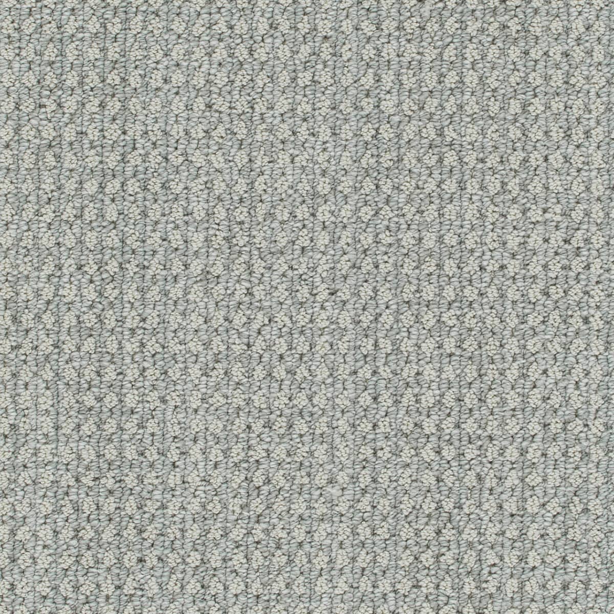 DreamWeaver® Select Brunswick Patterned Carpet