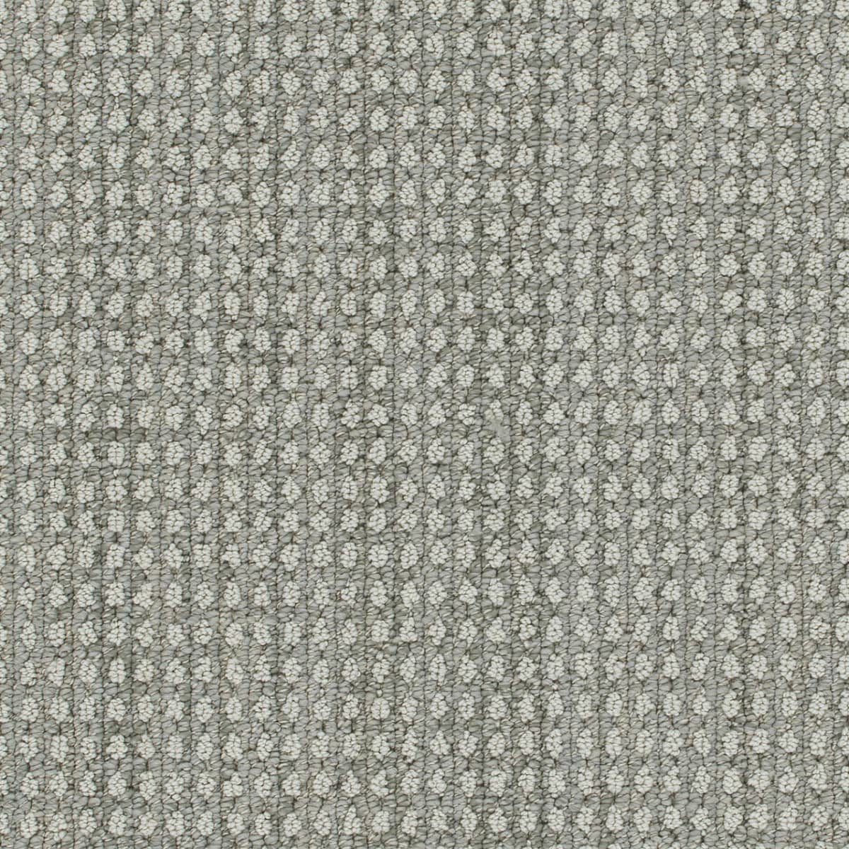 DreamWeaver® Select Brunswick Patterned Carpet