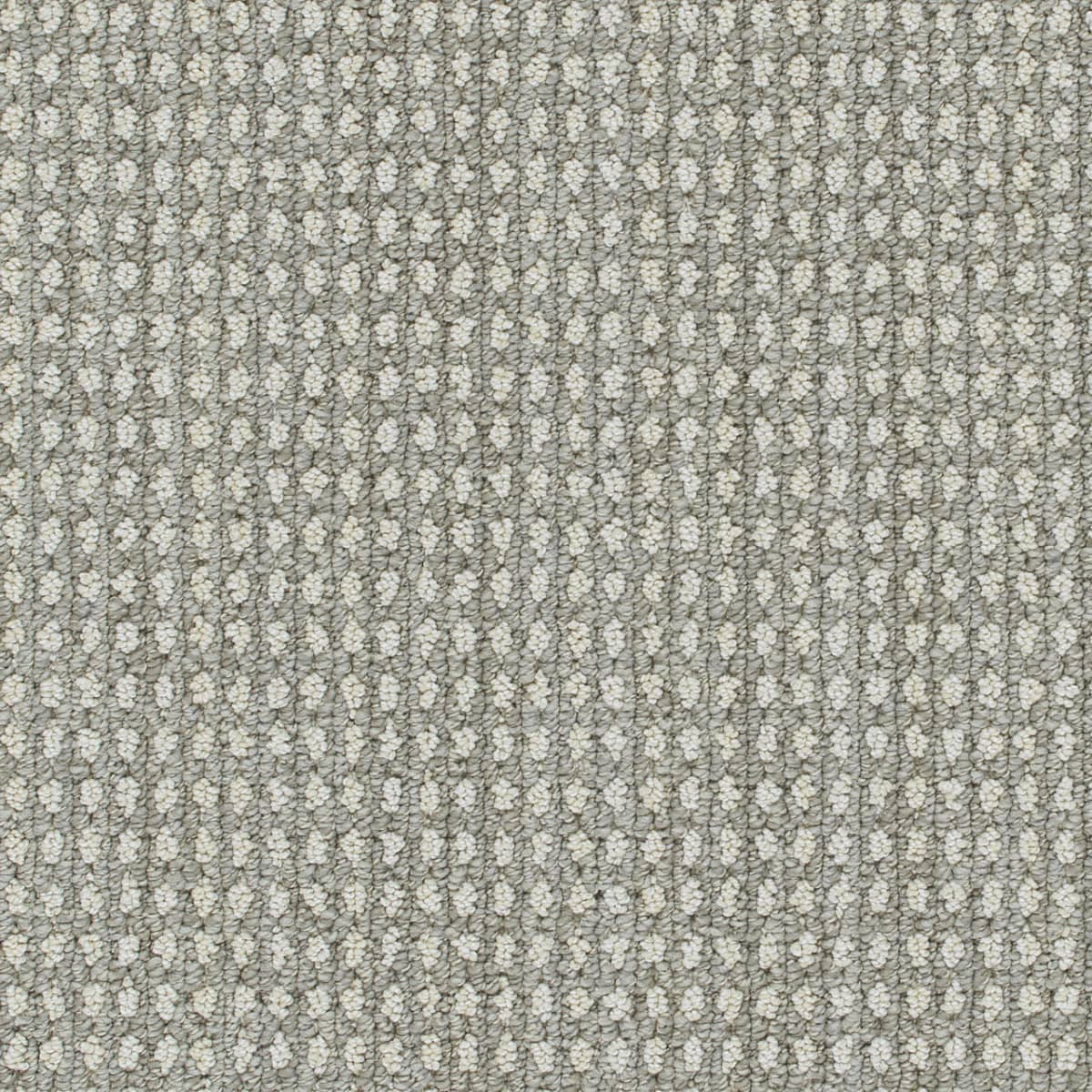 DreamWeaver® Select Brunswick Patterned Carpet