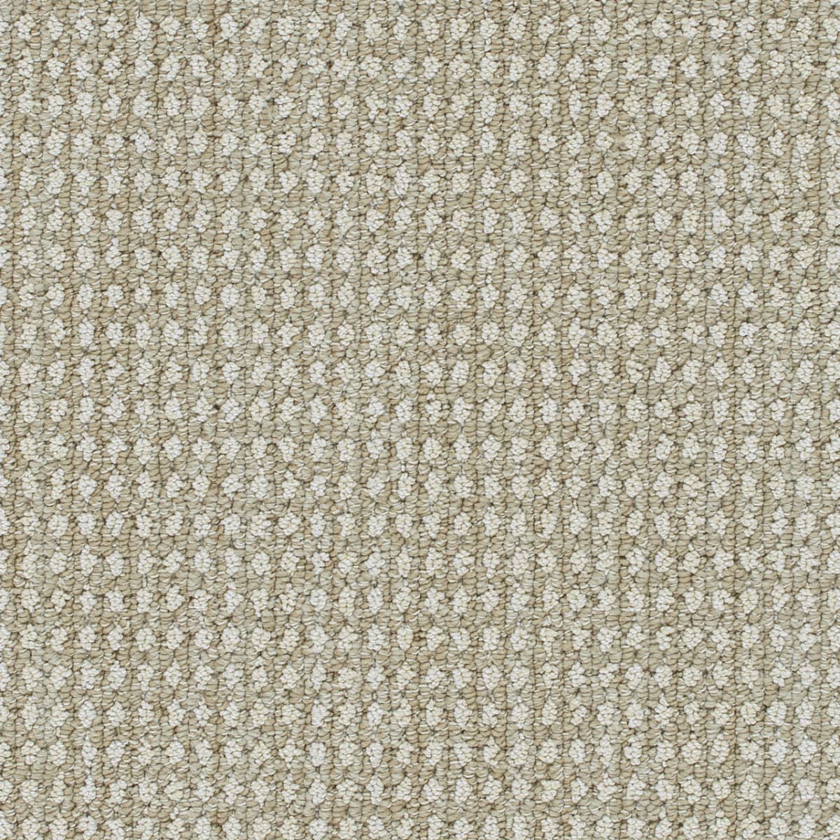 DreamWeaver® Select Brunswick Patterned Carpet
