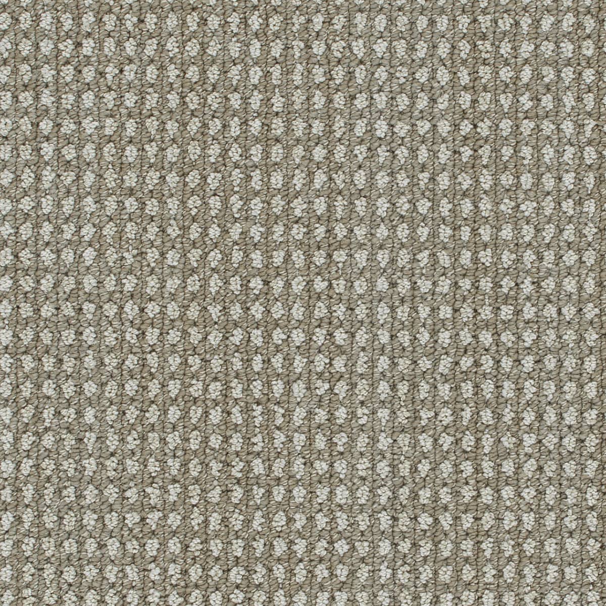 DreamWeaver® Select Brunswick Patterned Carpet