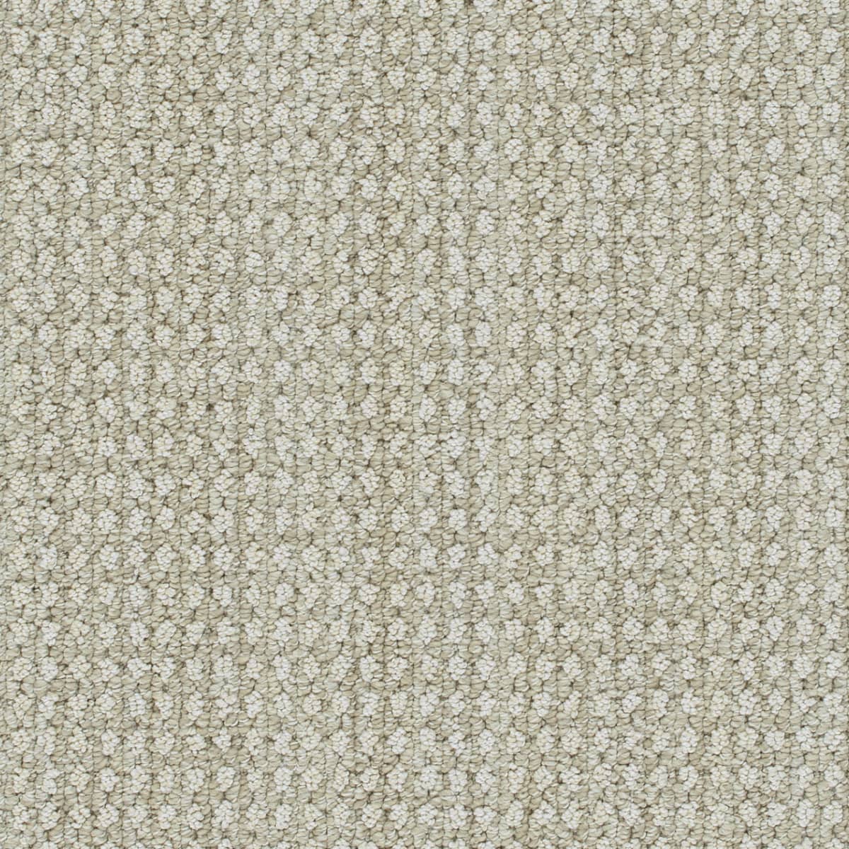 DreamWeaver® Select Brunswick Patterned Carpet