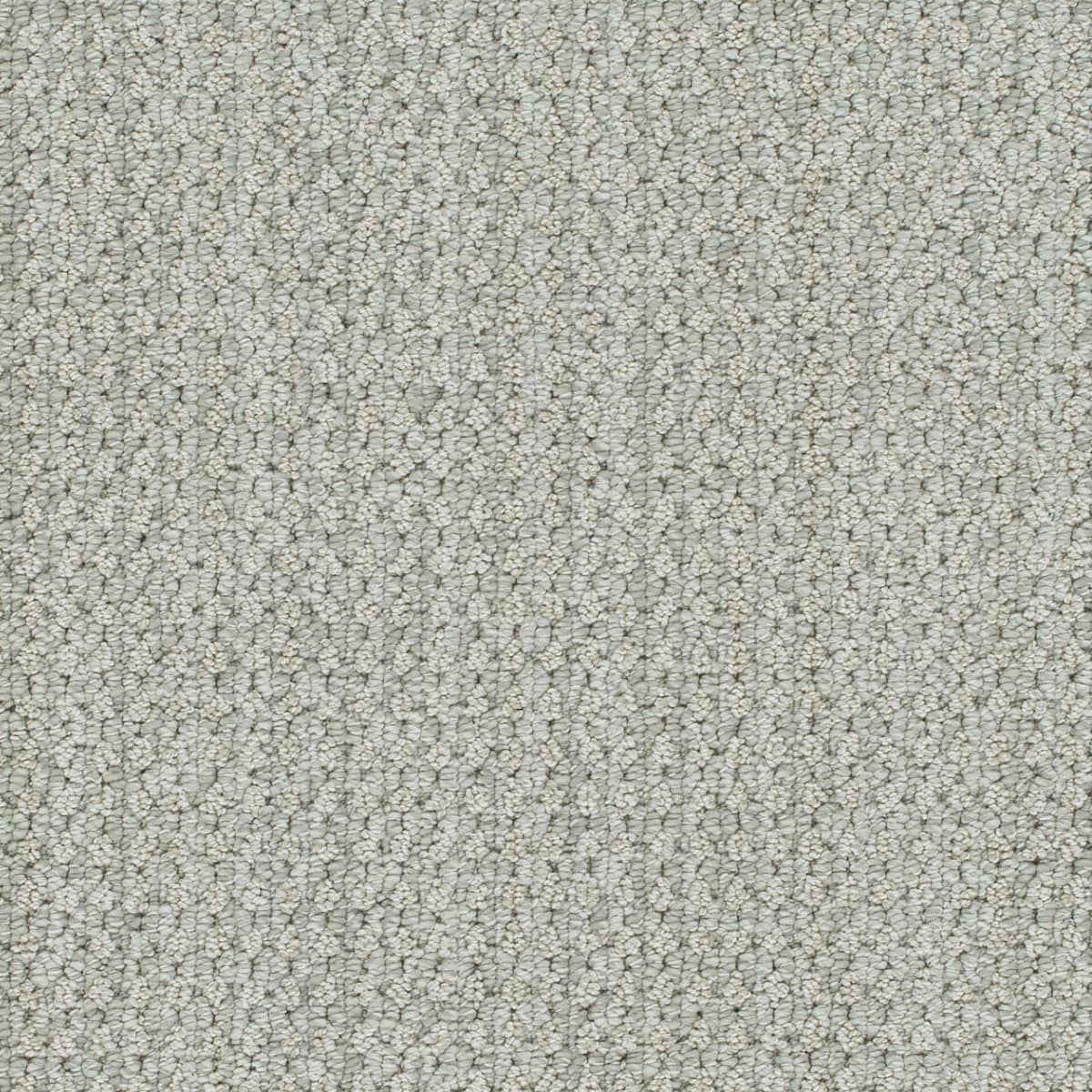 DreamWeaver® Select Brunswick Patterned Carpet