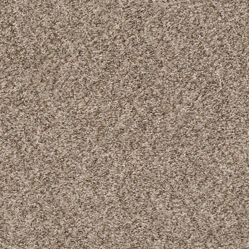 Cabana Bay B Carpet