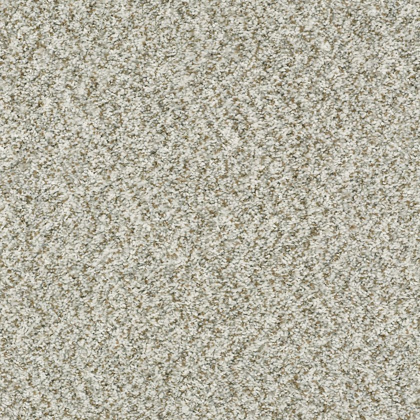 Cabana Bay B Carpet