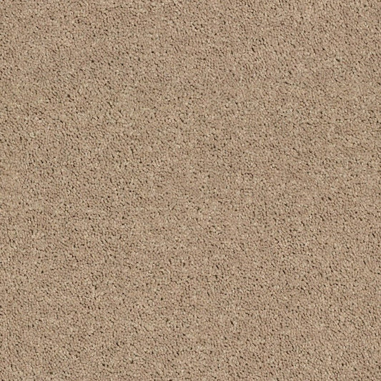 Cabana Bay Solid Carpet