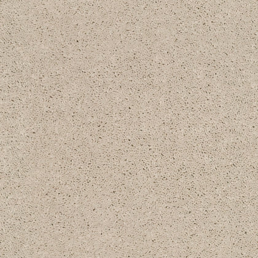 Cabana Bay Solid Carpet