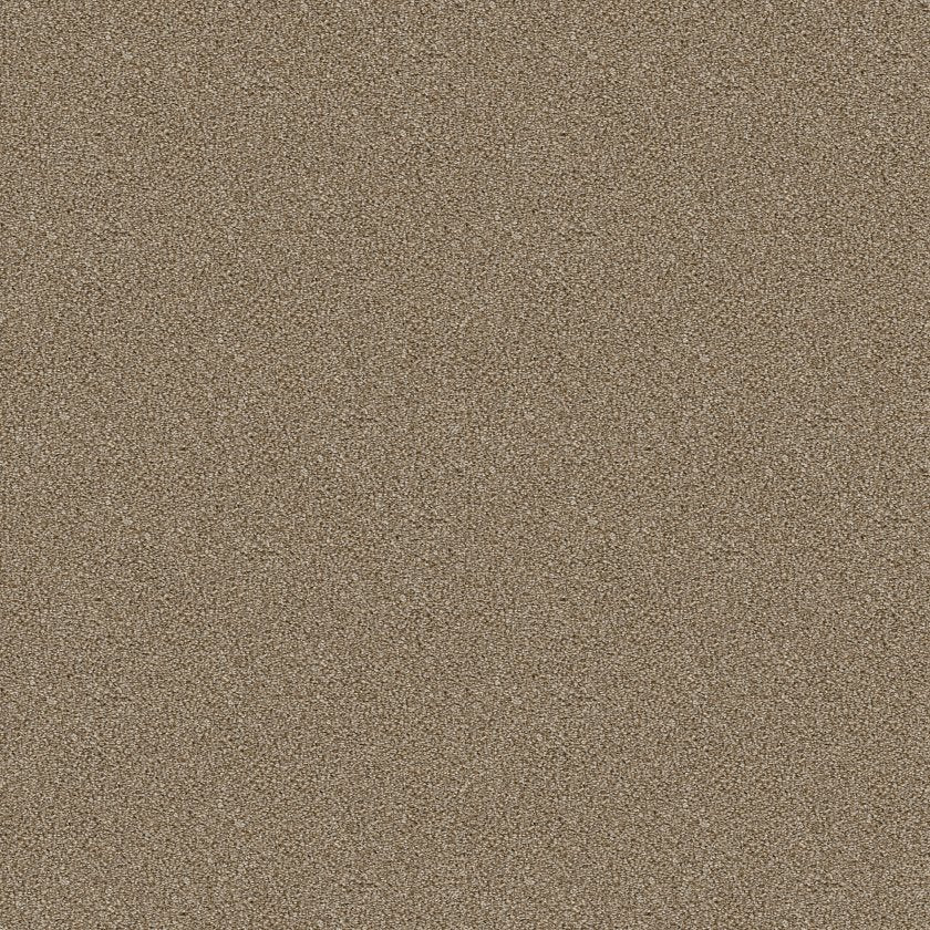 Cabana Bay Tonal Carpet