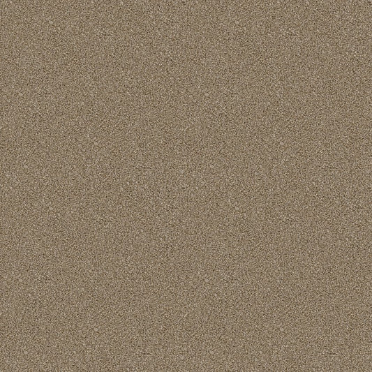 Cabana Bay Tonal Carpet
