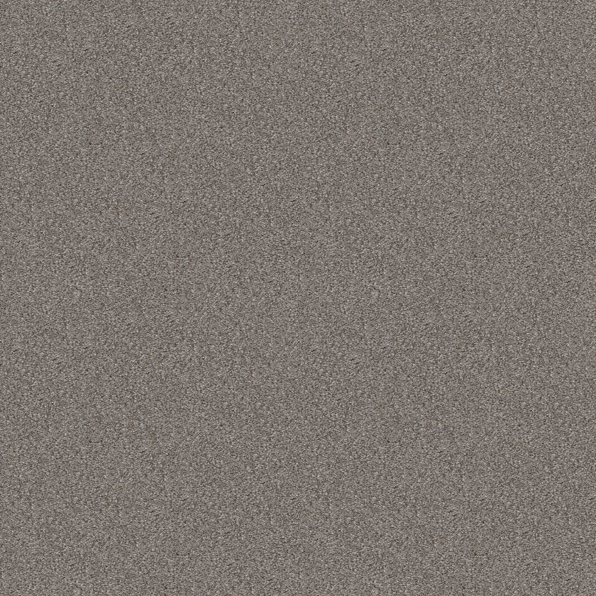 Cabana Bay Tonal Carpet