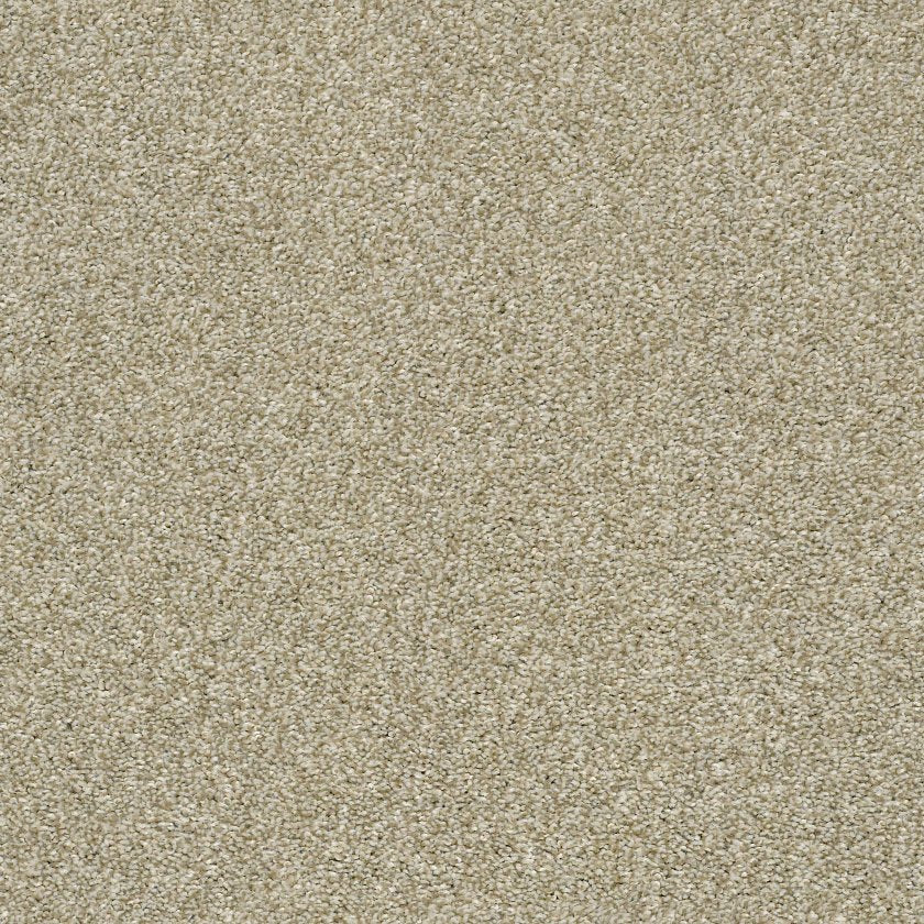 Cabana Bay Tonal Carpet