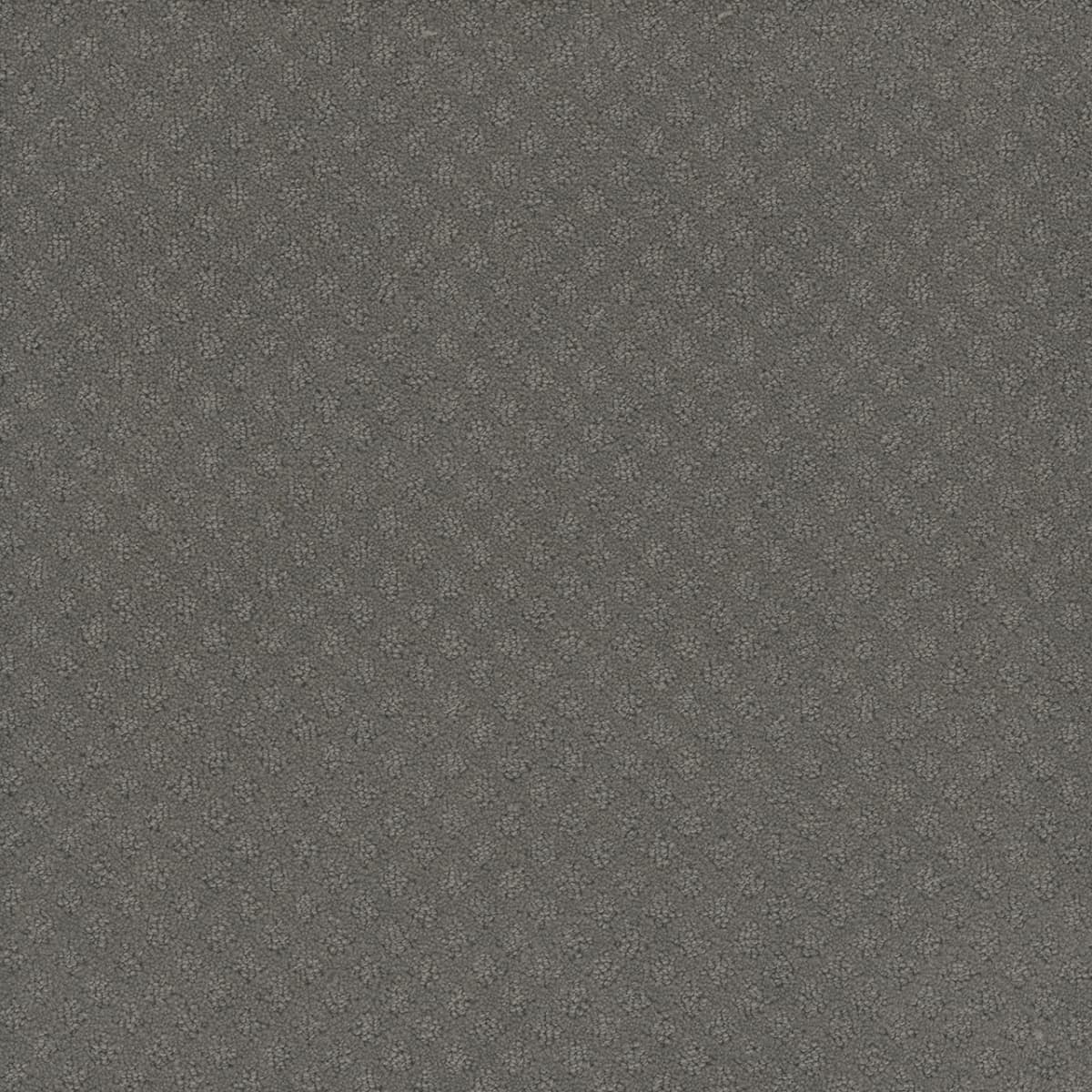 DreamWeaver® Capri Patterned Carpet
