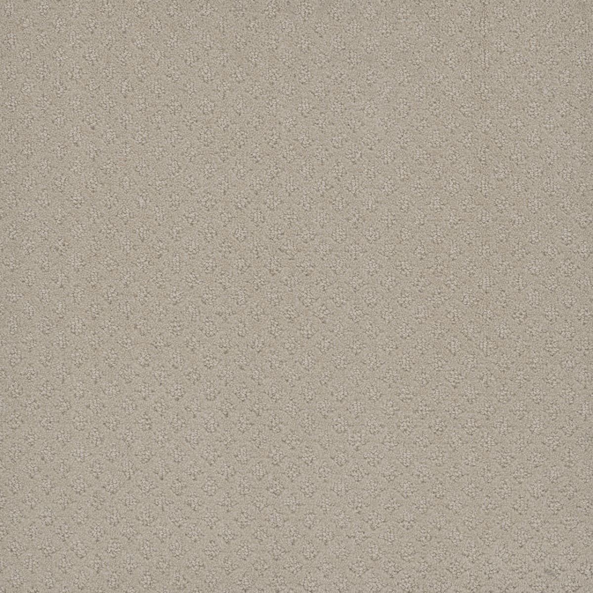DreamWeaver® Capri Patterned Carpet