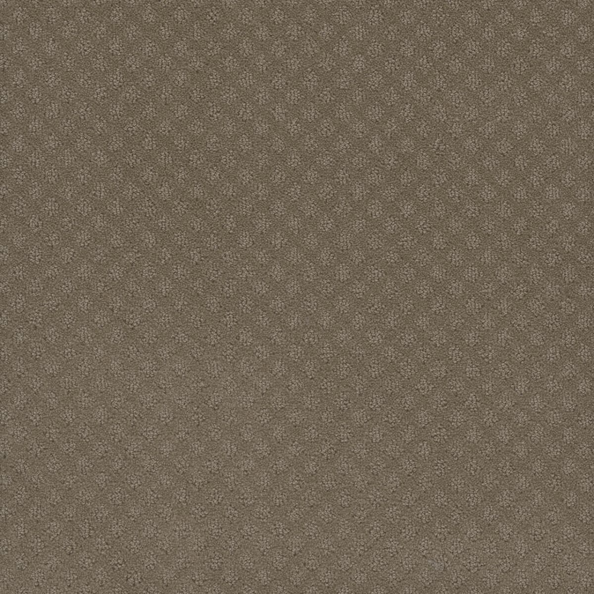 DreamWeaver® Capri Patterned Carpet