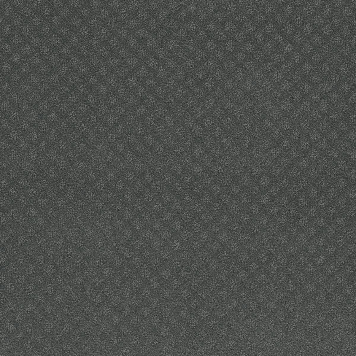 DreamWeaver® Capri Patterned Carpet