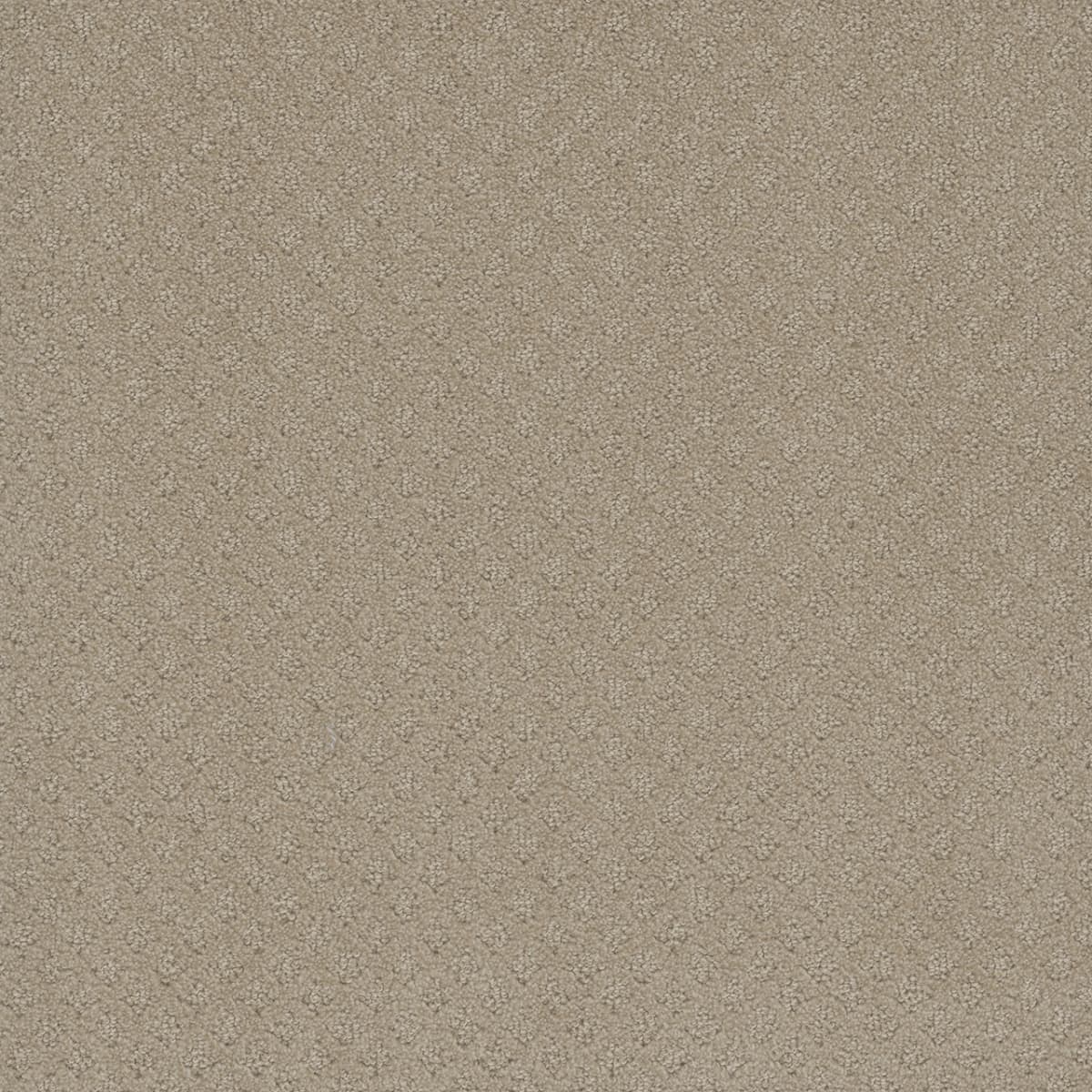 DreamWeaver® Capri Patterned Carpet