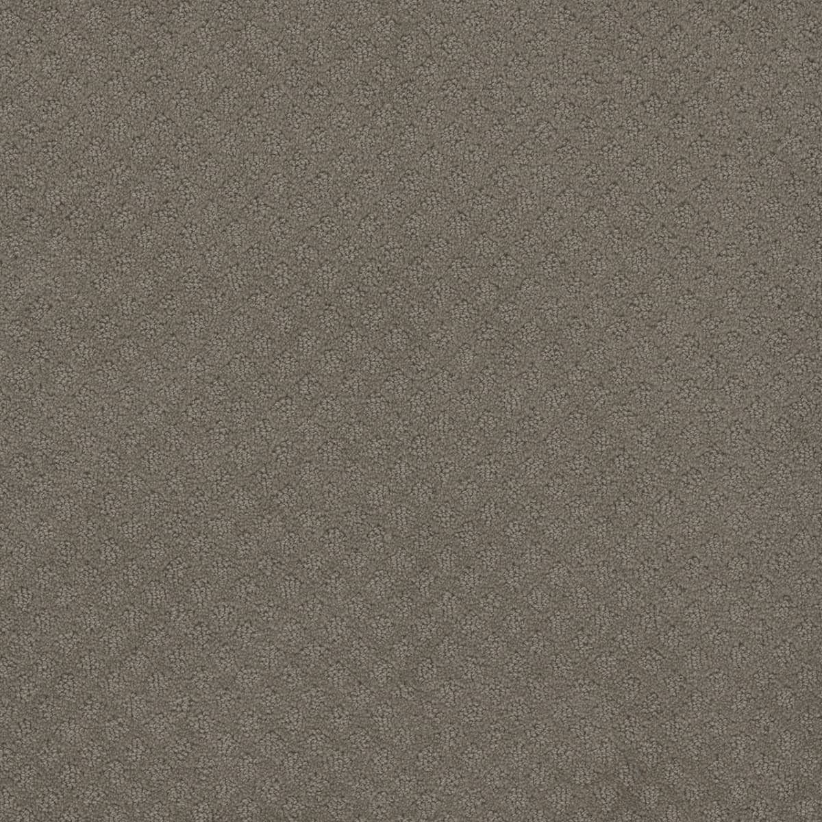 DreamWeaver® Capri Patterned Carpet