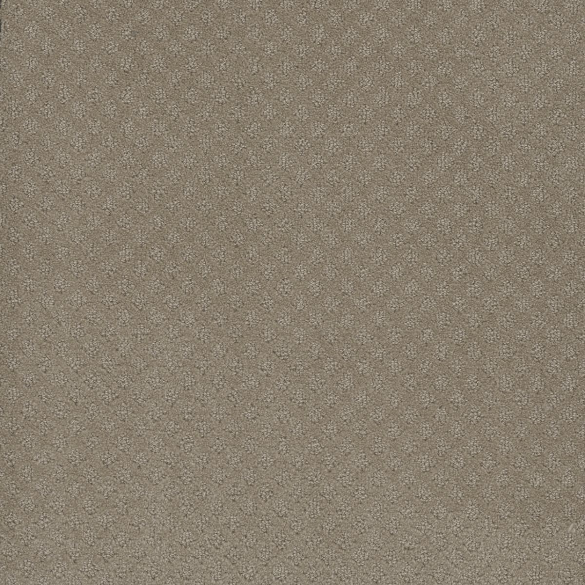 DreamWeaver® Capri Patterned Carpet