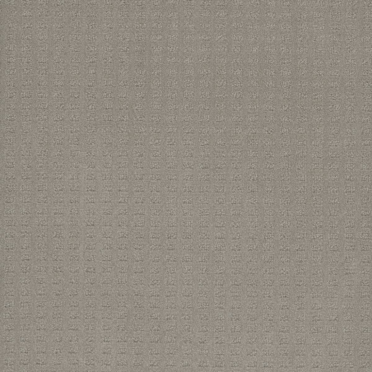 DreamWeaver® Caspian Patterned Carpet