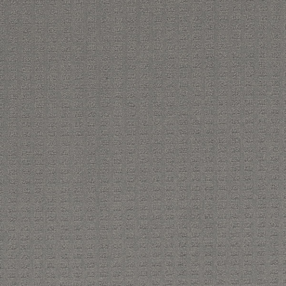 DreamWeaver® Caspian Patterned Carpet