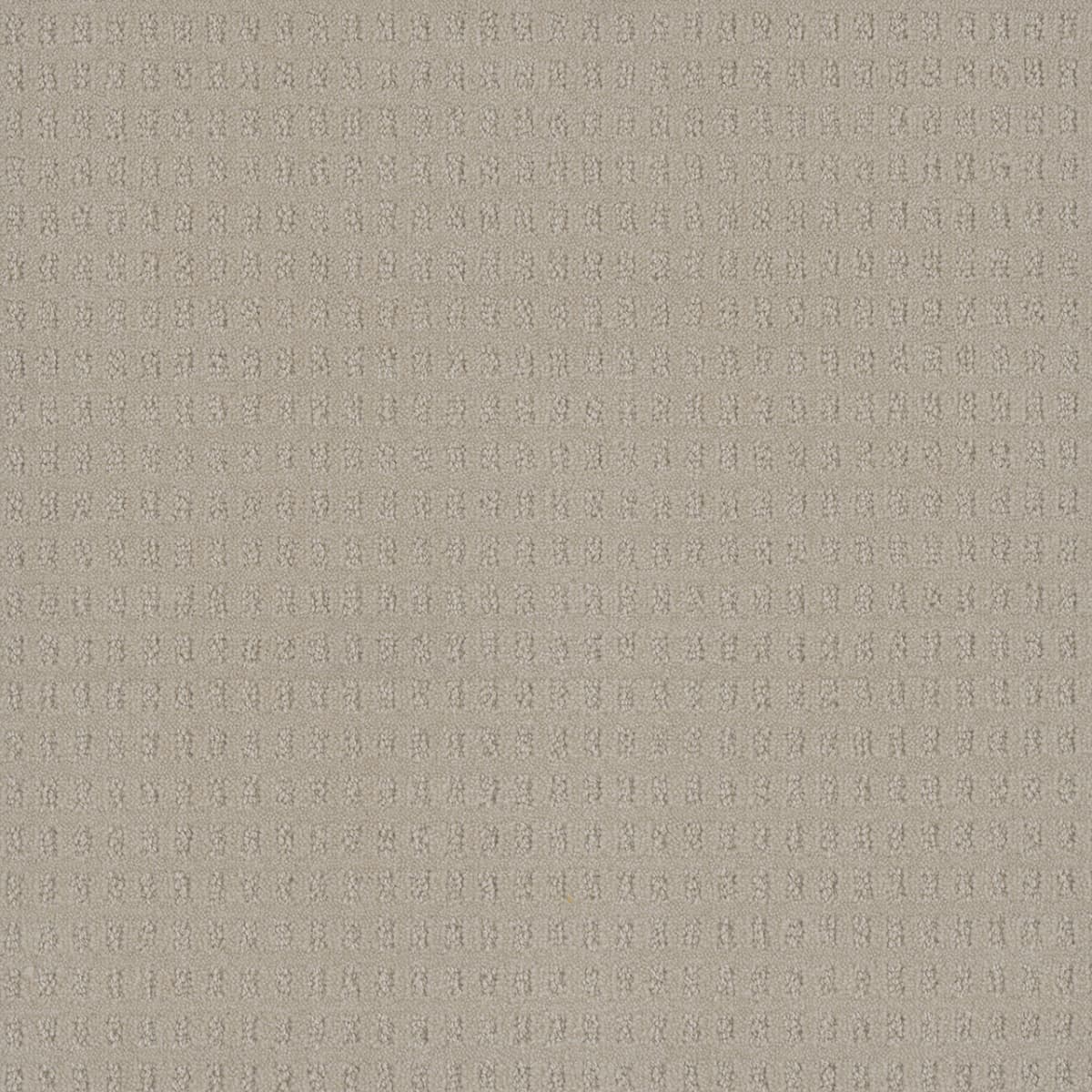 DreamWeaver® Caspian Patterned Carpet