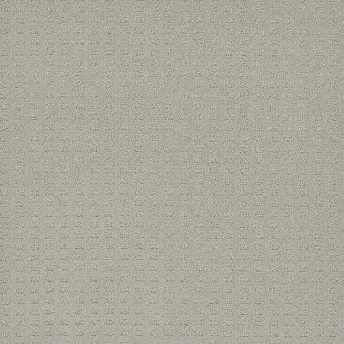 DreamWeaver® Caspian Patterned Carpet