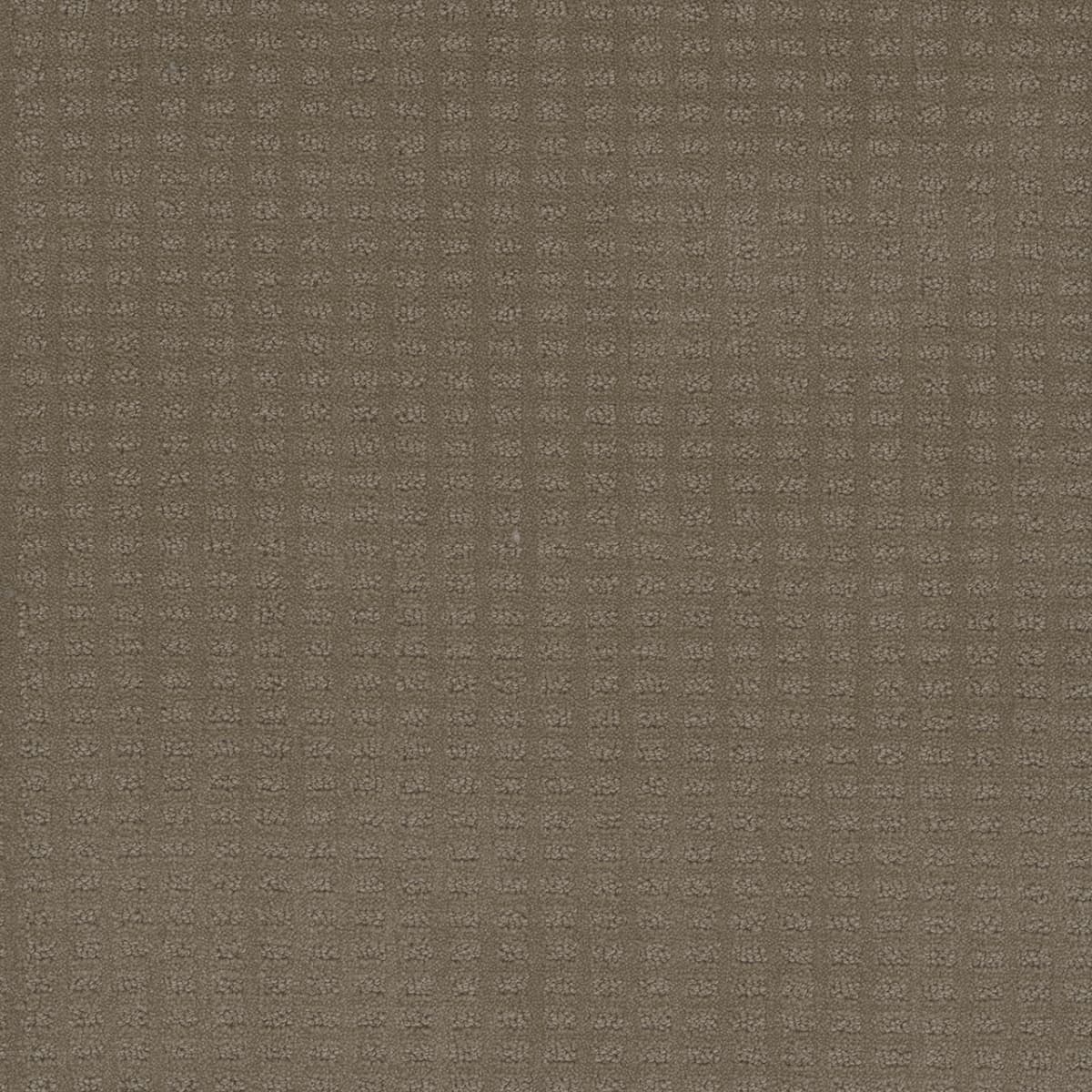 DreamWeaver® Caspian Patterned Carpet