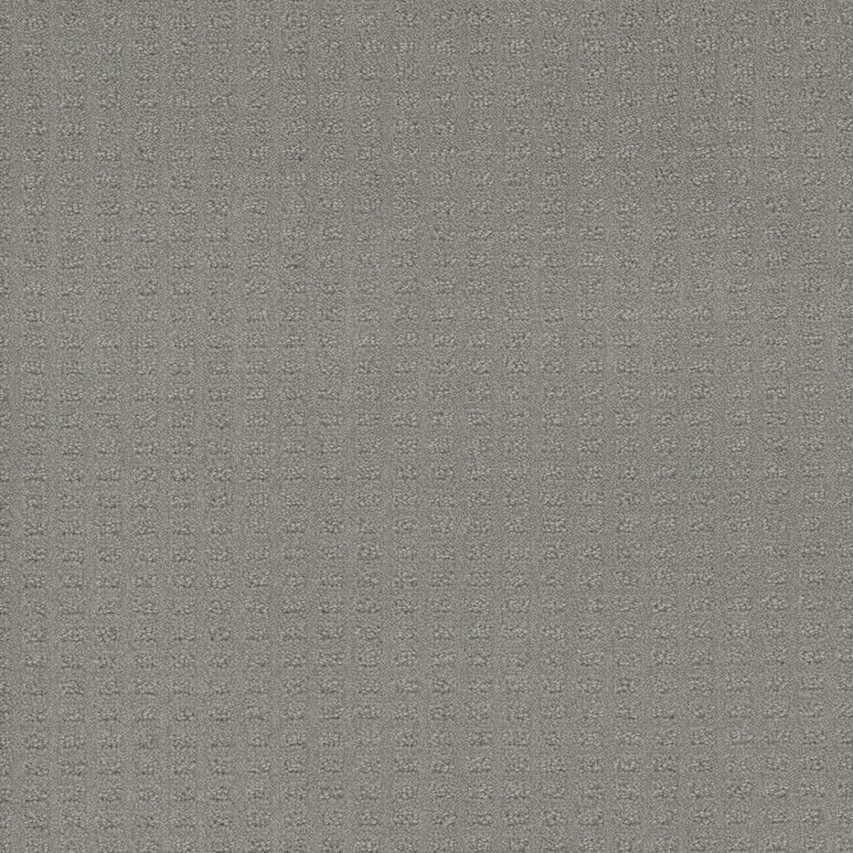 DreamWeaver® Caspian Patterned Carpet