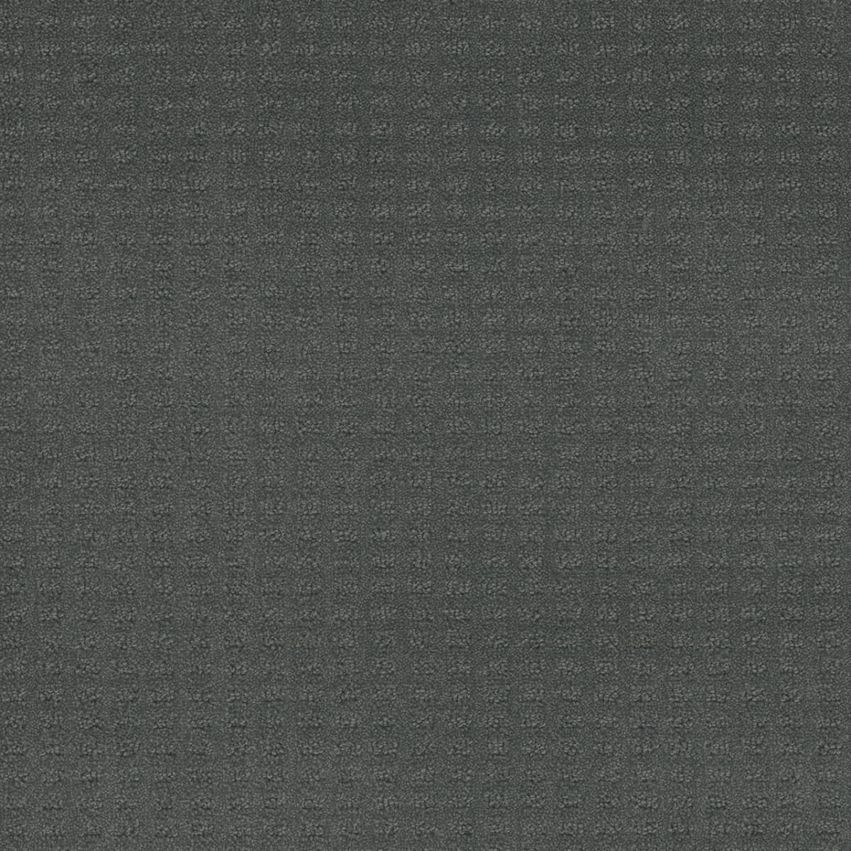 DreamWeaver® Caspian Patterned Carpet