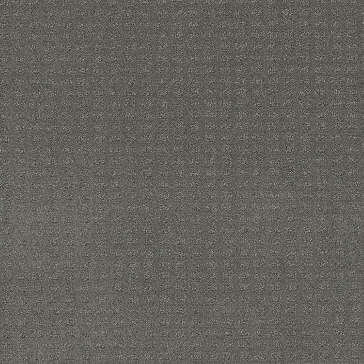 DreamWeaver® Caspian Patterned Carpet