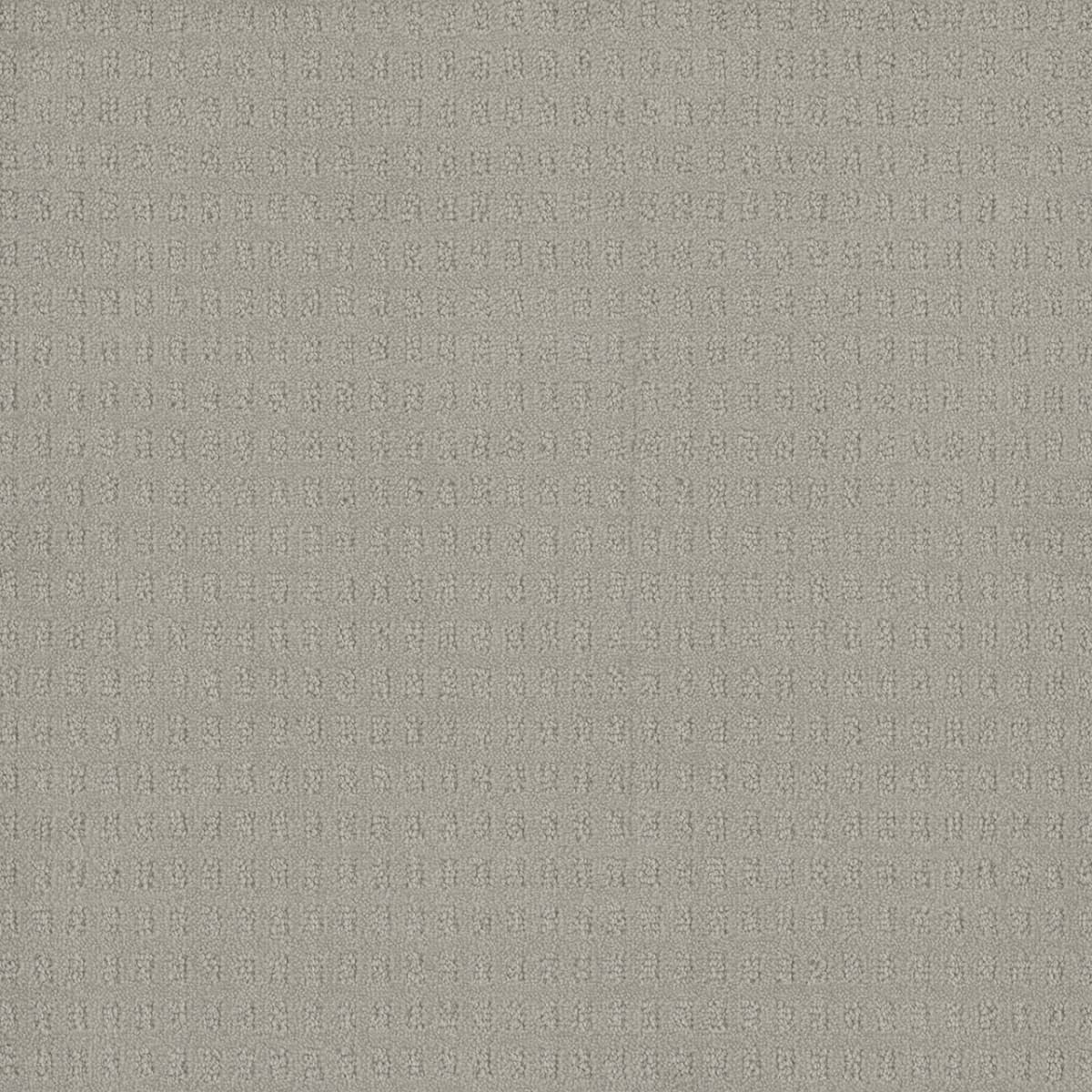 DreamWeaver® Caspian Patterned Carpet