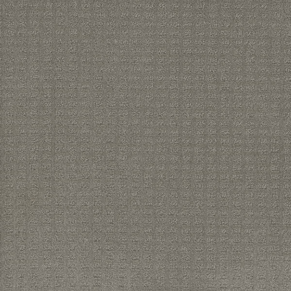 DreamWeaver® Caspian Patterned Carpet